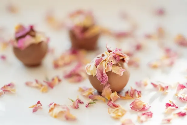 Pelican Casino Aplicación Android/iOS